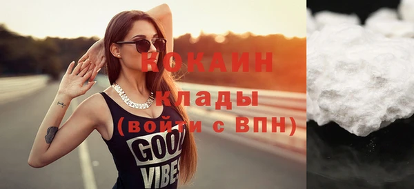 гидра Абаза