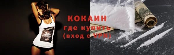 гидра Абаза