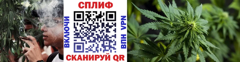 Конопля Amnesia Лиски